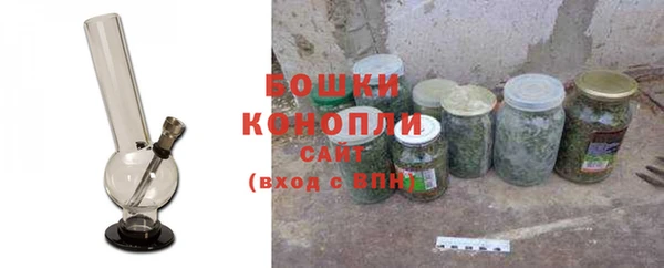 стаф Бородино