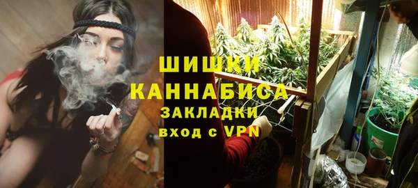 стаф Бородино